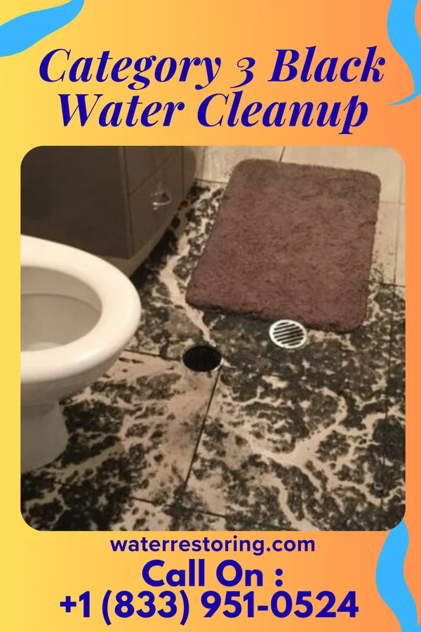 Category 3 Black Water Cleanup in Algoma, MS