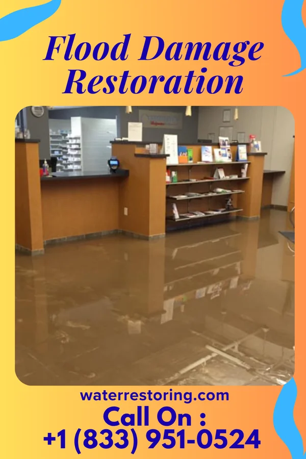 Flood Damage Restoration in Algoma, MS
