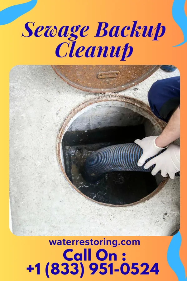 Sewage Backup Cleanup in Algoma, MS